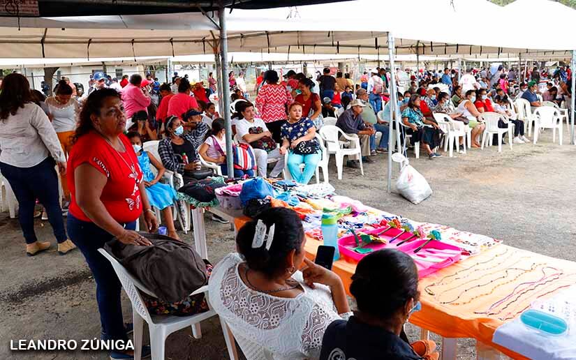 feria-bovina